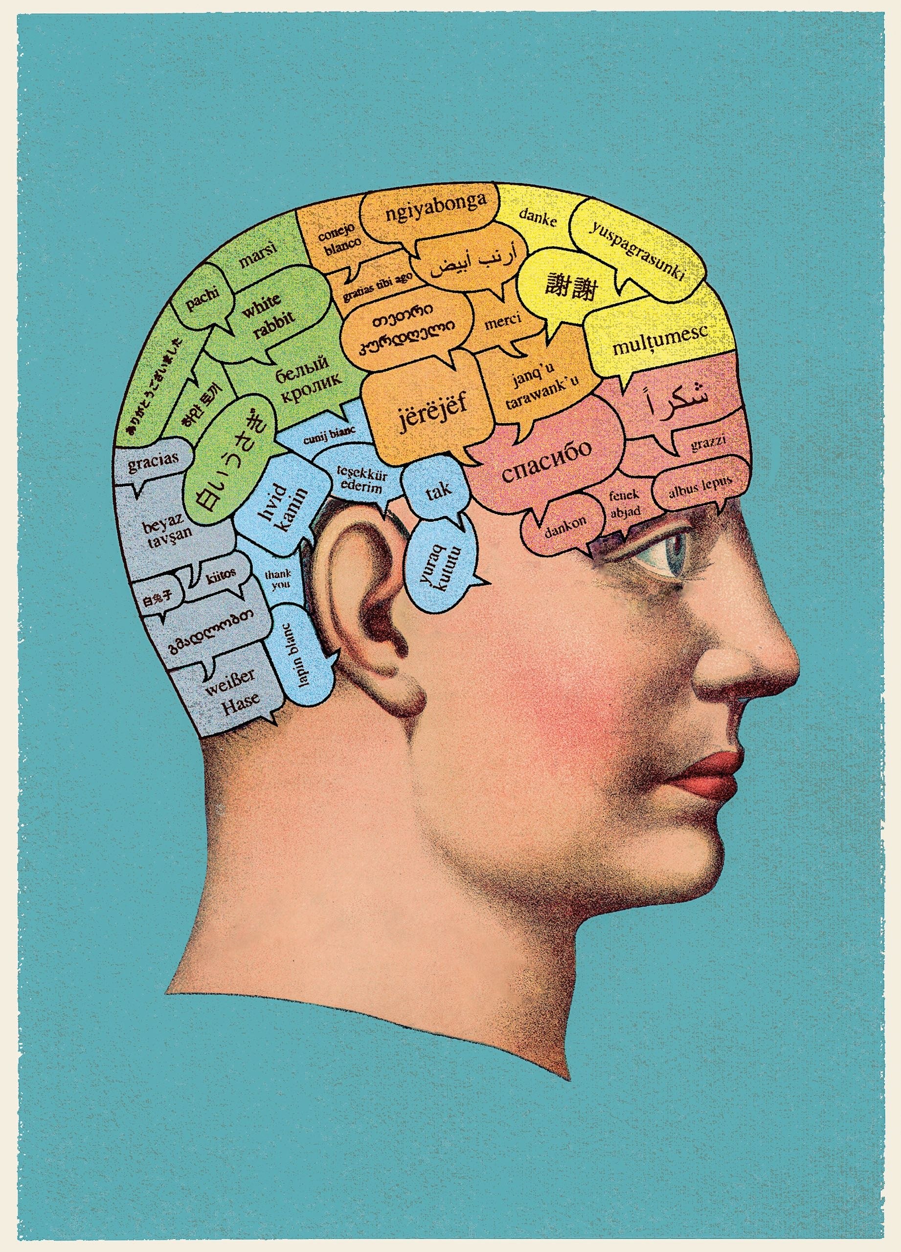 cerebro parcelado en idiomas