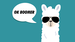 ok boomer meme